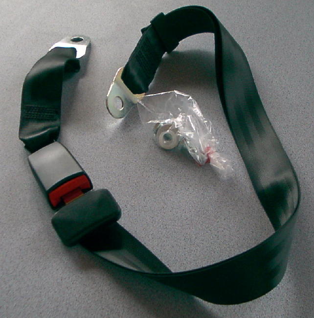 Beckengurt für Sitzbank Sicherheitsgurt Gurt Autogurt Zweipunkt 10395Lg NEU